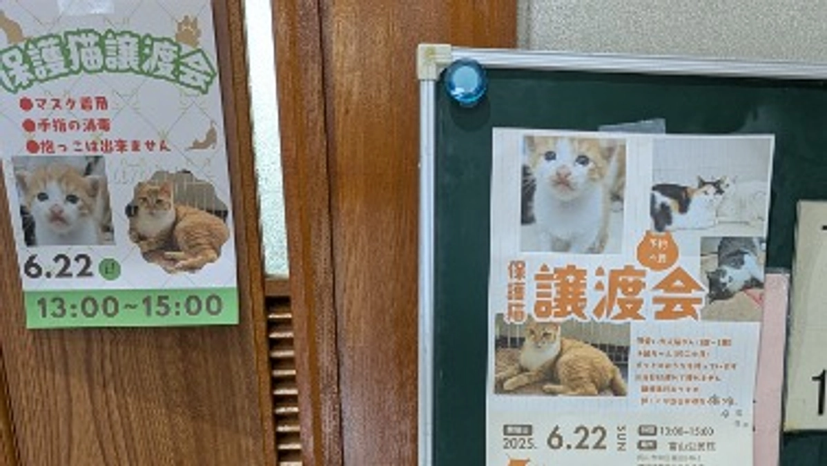 富山公民館での初保護猫譲渡会