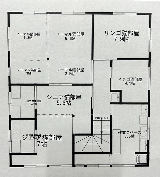 シン・猫の森ハウスに向けて