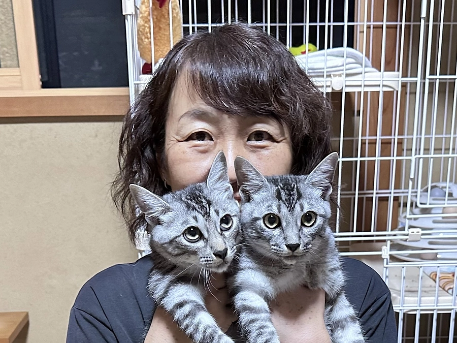 【ボランティアメッセージリレー】シェルターお世話担当　清武加奈子様からの応援メッセージ