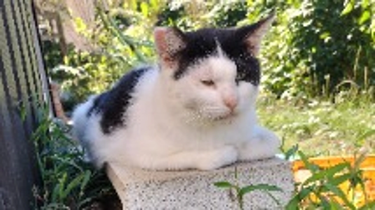 ありがとうございます！！