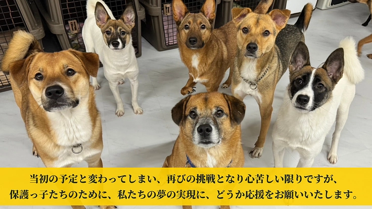 共に築く未来~皆がGUARDIANとなりこの子たちの基地の為に~ 6枚目