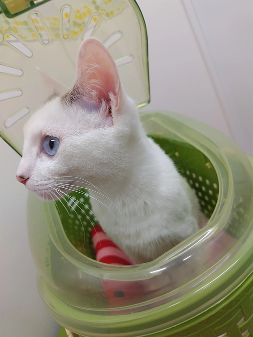 受診日でした🏥