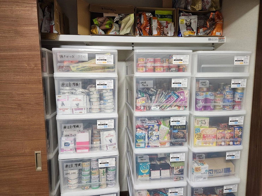 新シェルターへの移転作業のご報告