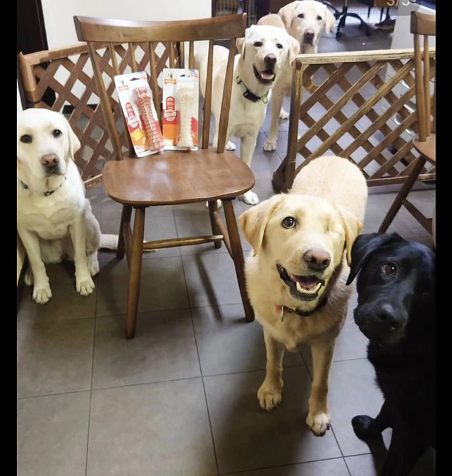 残念なお知らせ