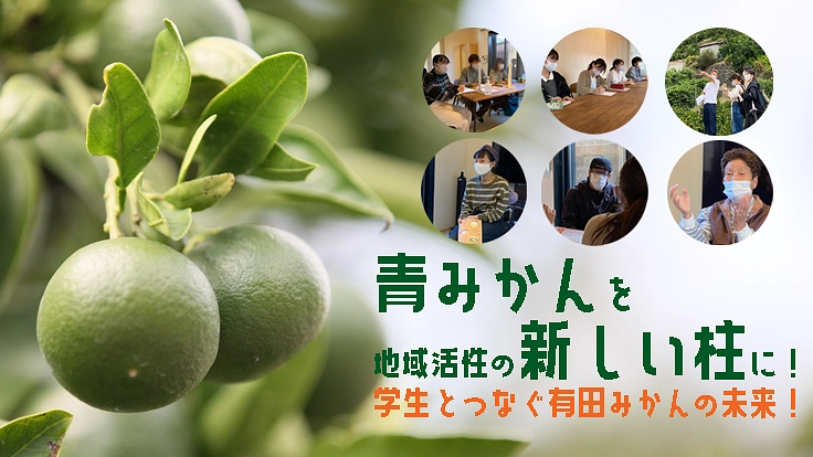 青みかんを地域活性の新しい柱に！学生とつなぐ有田みかんの未来！