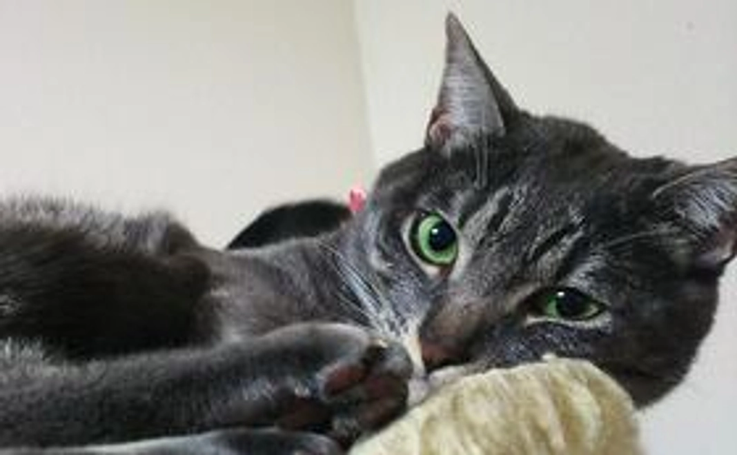 【リターン不要の方向け】5,000円コース