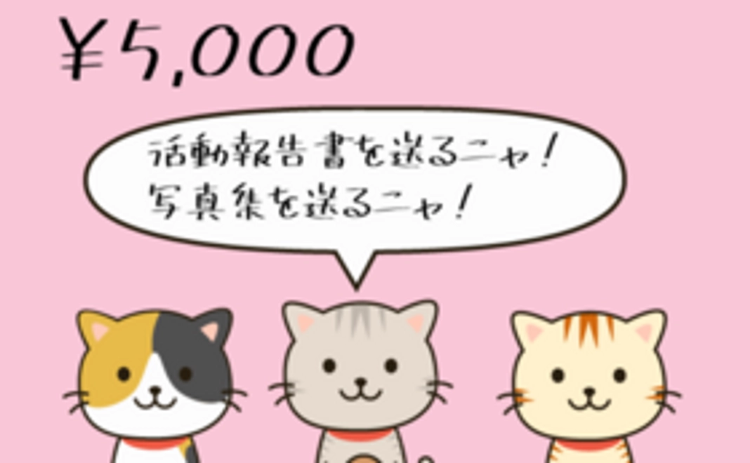 5000円支援