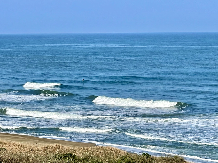 もう一踏ん張りです❣️