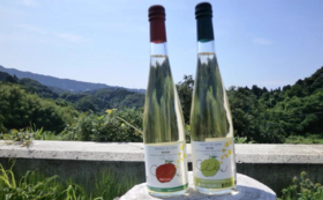 シードルセット（赤・緑：４本）