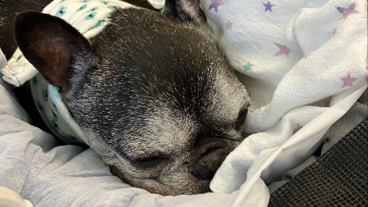 これまでの治療費の内訳について（締め切りまで残り8日）