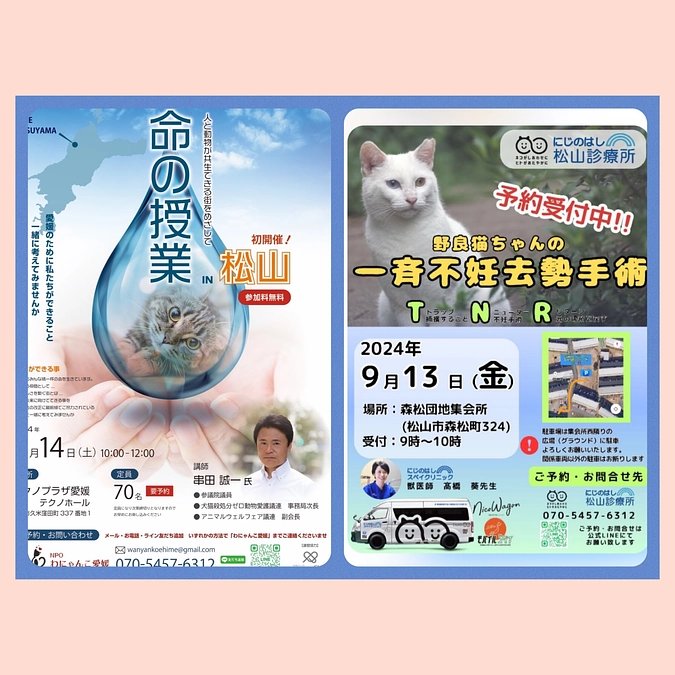 串田誠一先生『命の授業』のお知らせ｜2024年9月14日（金）@テクノプラザ愛媛テクノホール（無料）