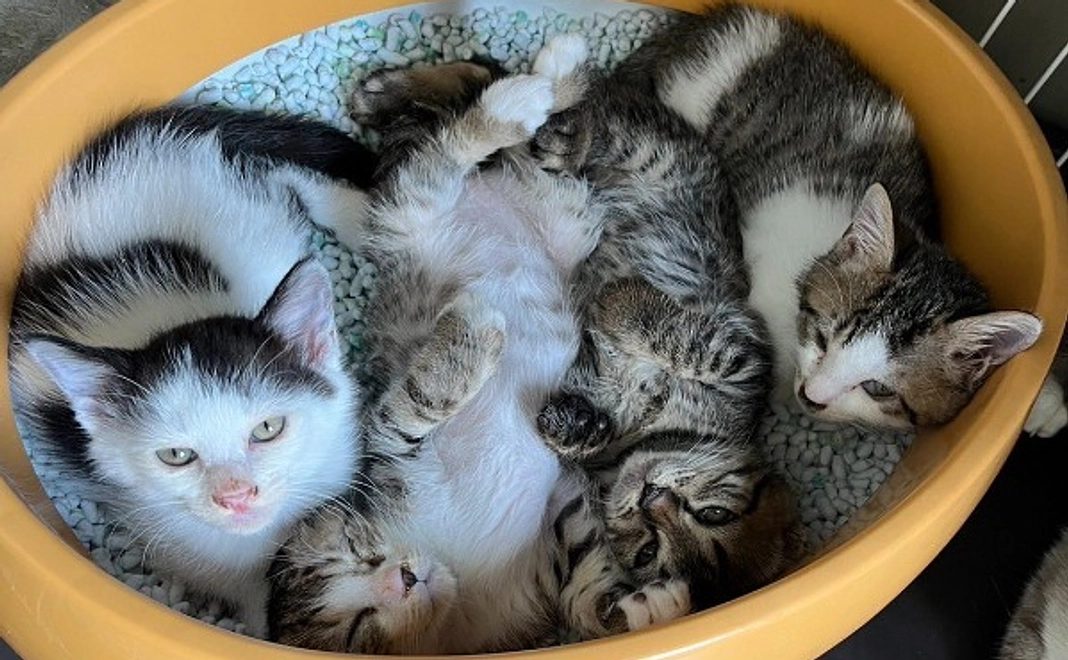 【リターン不要】全力応援|1万円