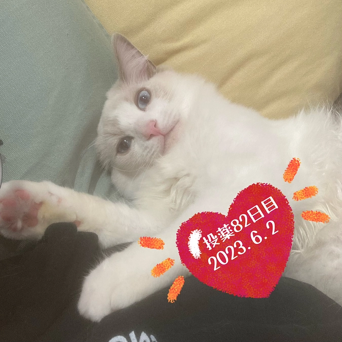 投薬８２日目(2023.6.2)