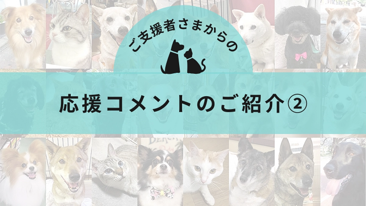 【第一関門15日までに100万円。あと111,000円！】応援コメントのご紹介②