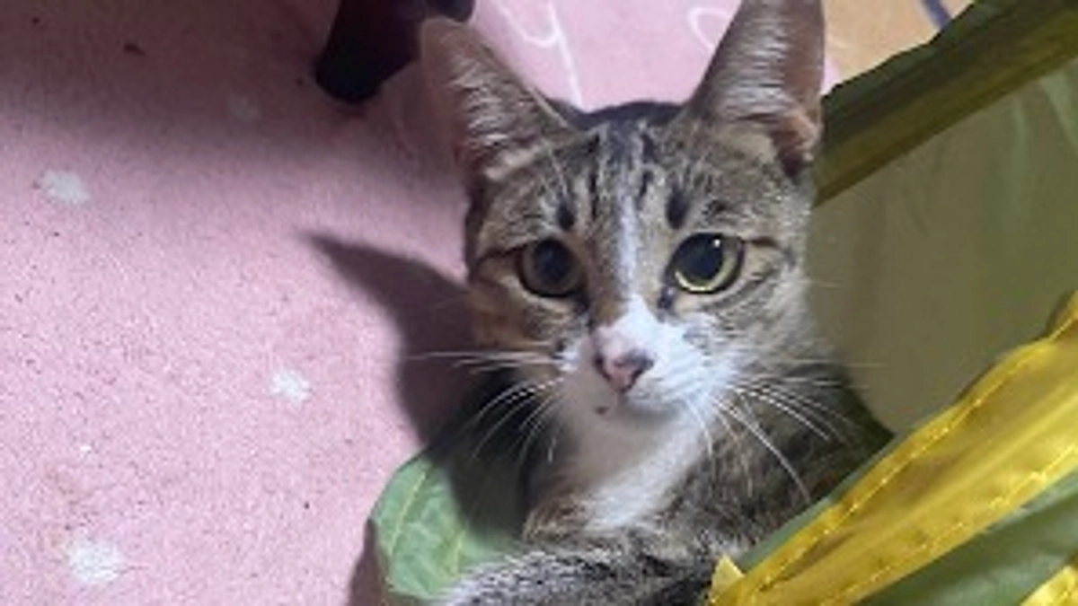 目標金額達成致しました！！✨