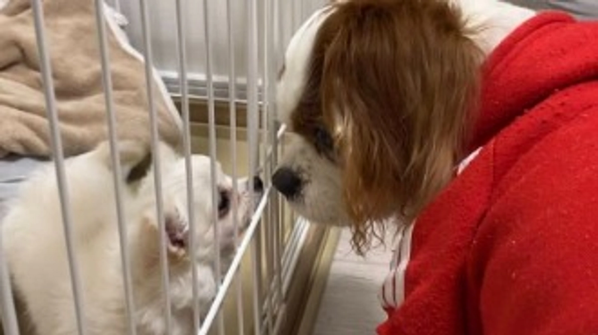 SNSを開始しました