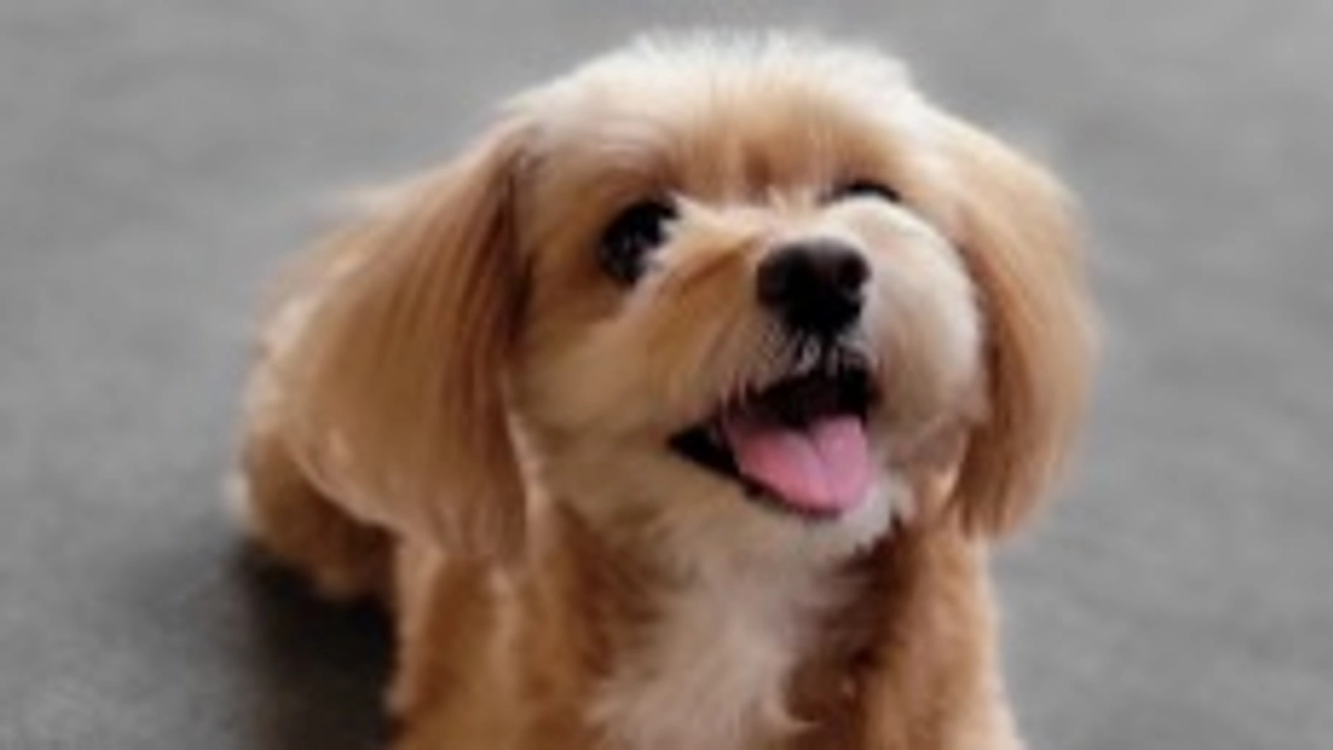 術後初の失神・・・