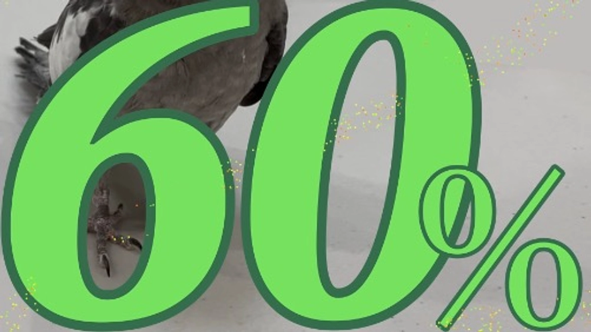 【クラファン活動報告③】個々の力が大きな力に。　目標金額６０％達成！！