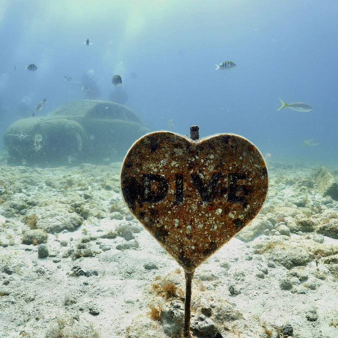 ご支援ご協力ありがとうございました！