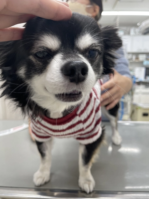 残り１０日　達成率４９％