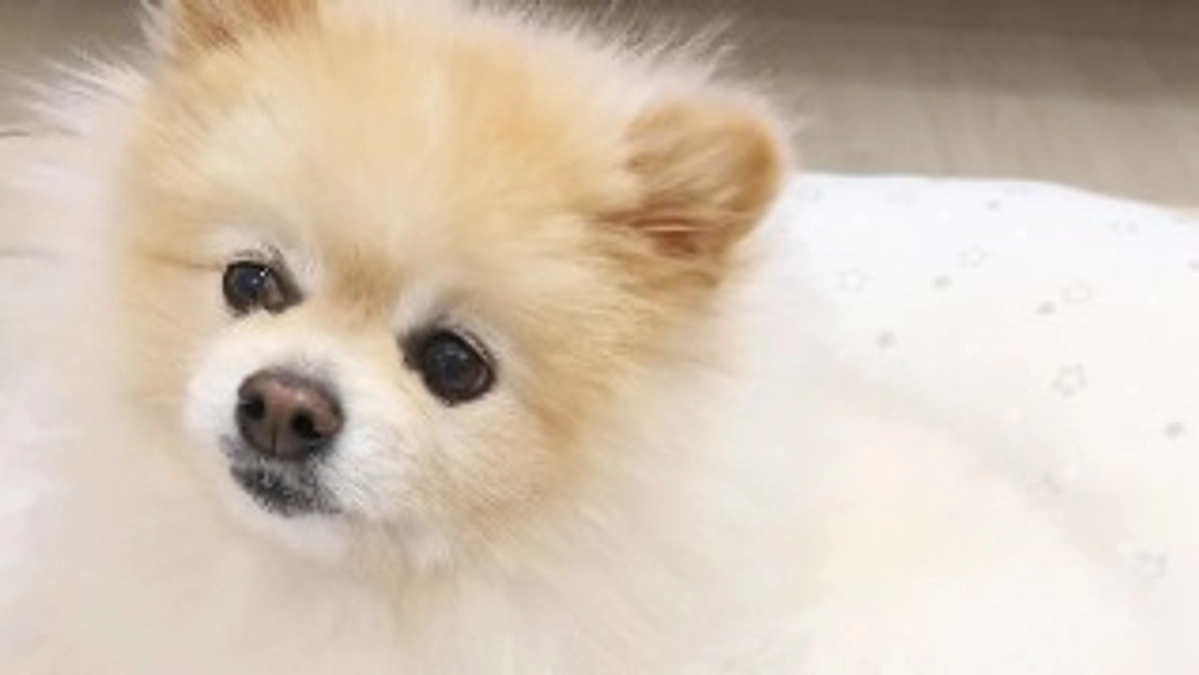 無事達成する事ができました！