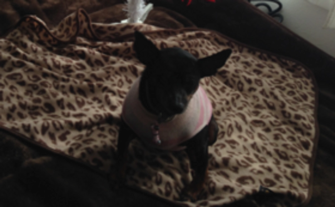 【ご支援、心より感謝いたします！】お礼のメッセージ／経過報告