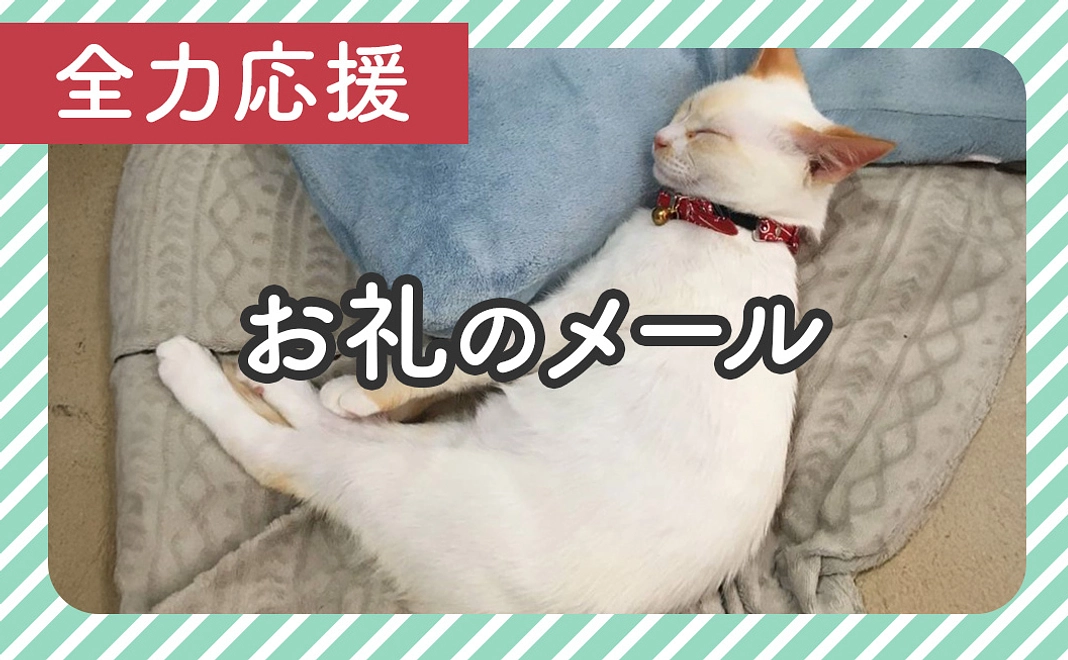 全力応援5,000円：お礼のメール