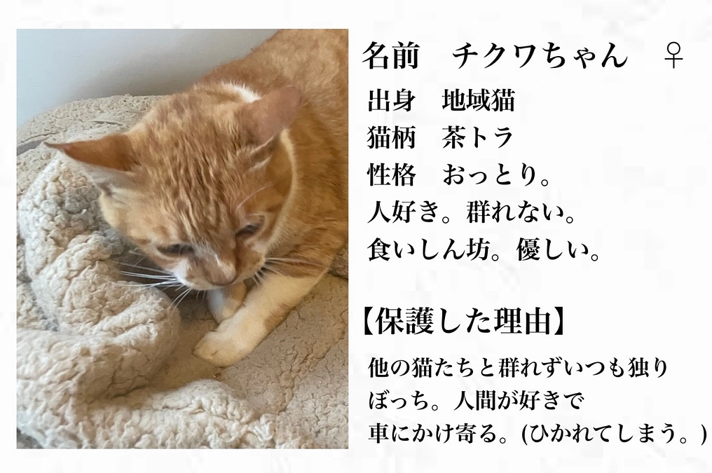 愛護というか...愛互でありたい。