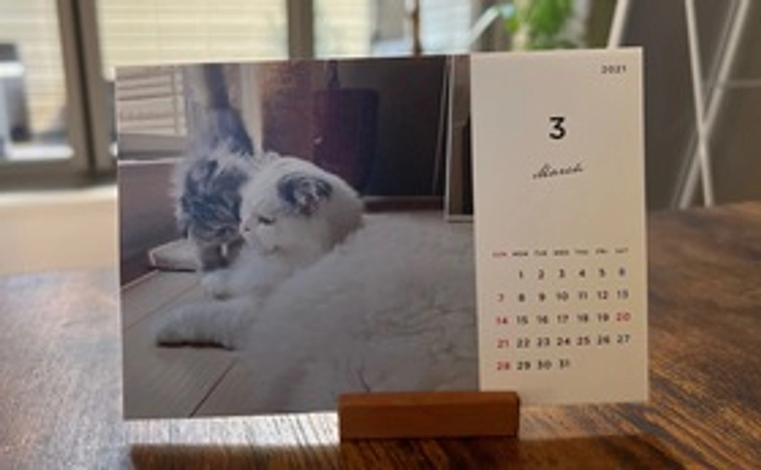 感謝のメール、モコタの卓上カレンダー、写真3枚