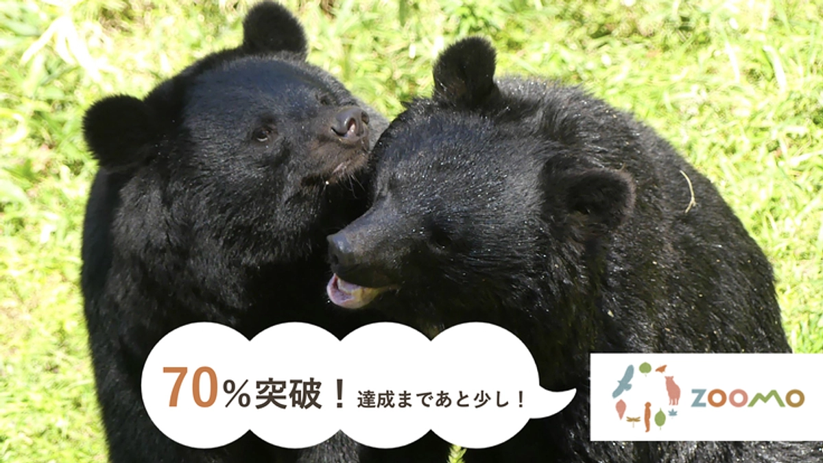 【70%突破！】ご支援の御礼と応援コメントのご紹介第四弾！達成まであと少し！！