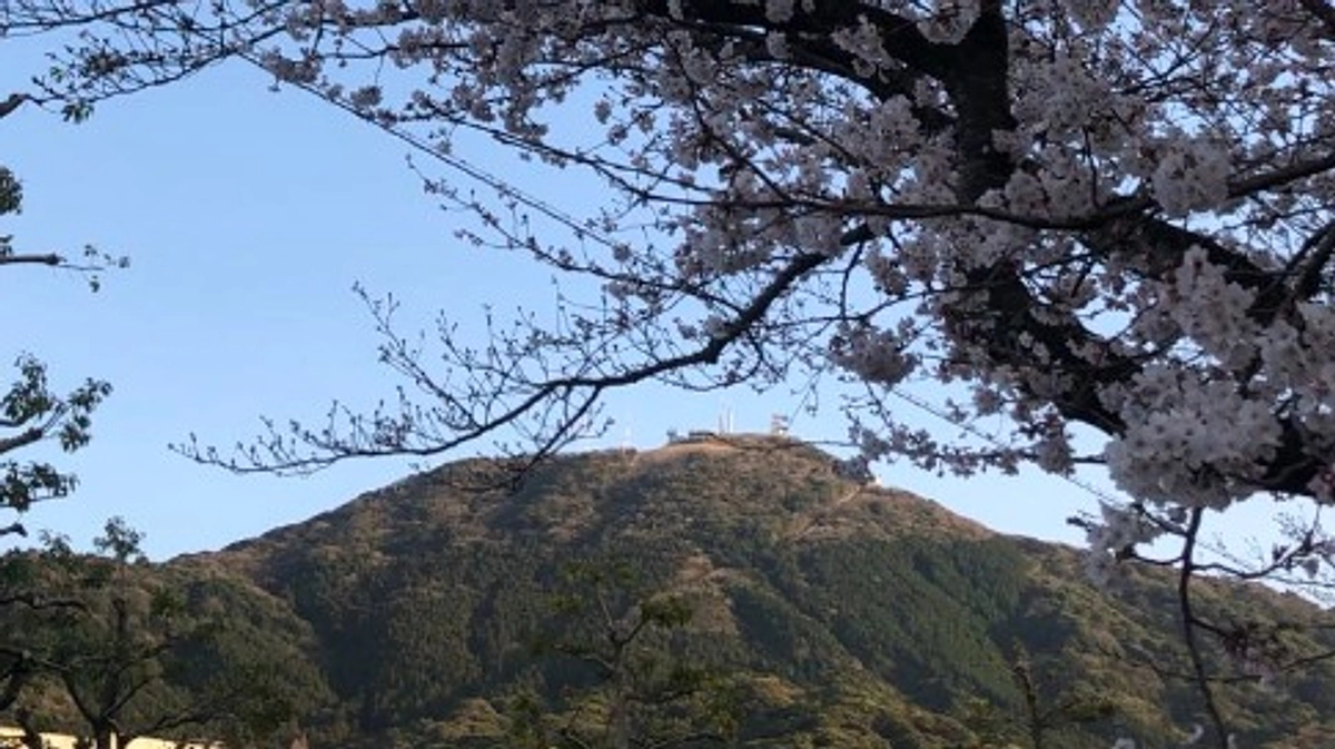 八幡法人会女性部様から応援メッセージをいただきました！