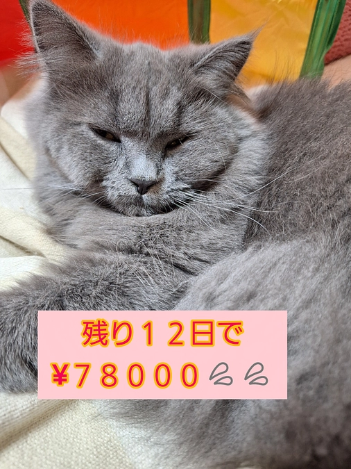 あと１２日となりました💦💦🆘️