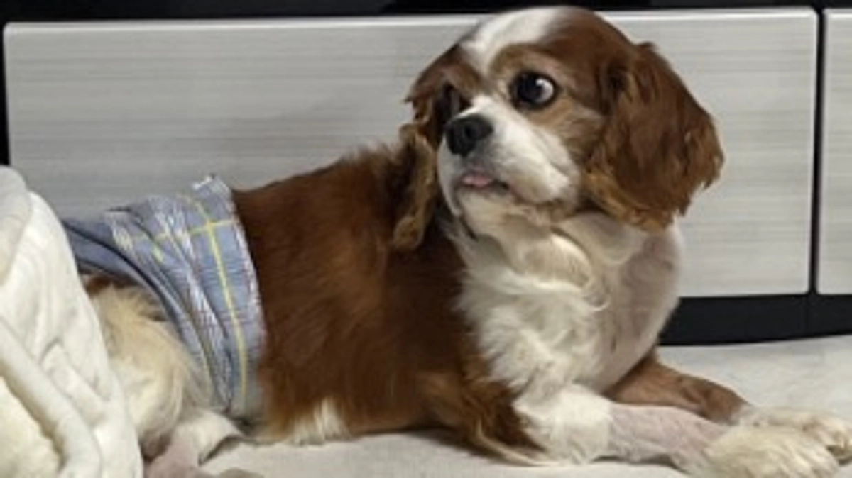 今日は検査にいきました！