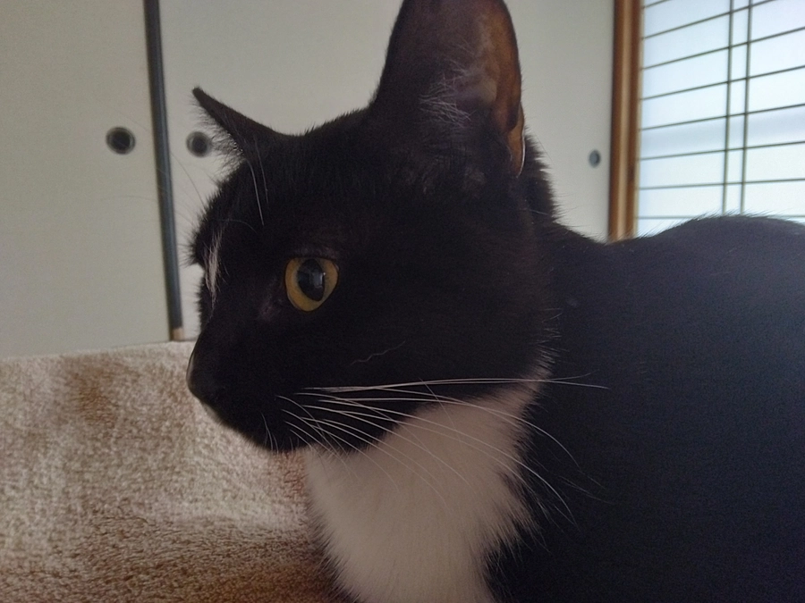 4/5はなちゃんの様子