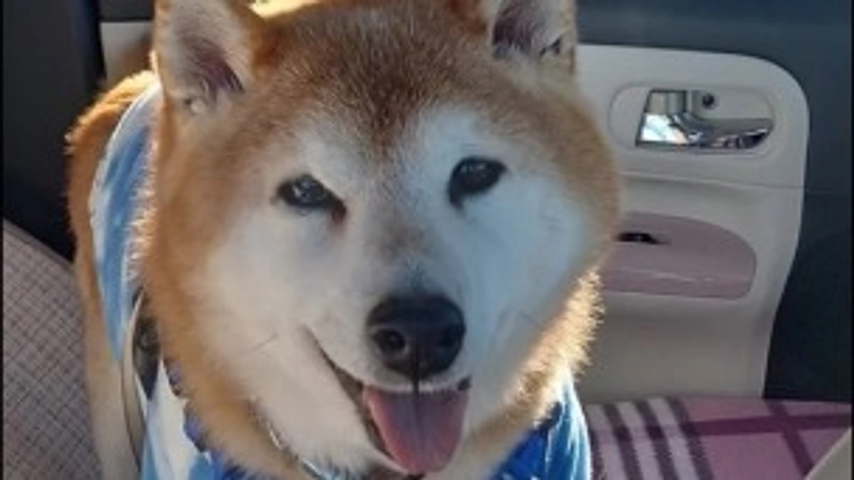 あと、30分ちよっと！です！😭