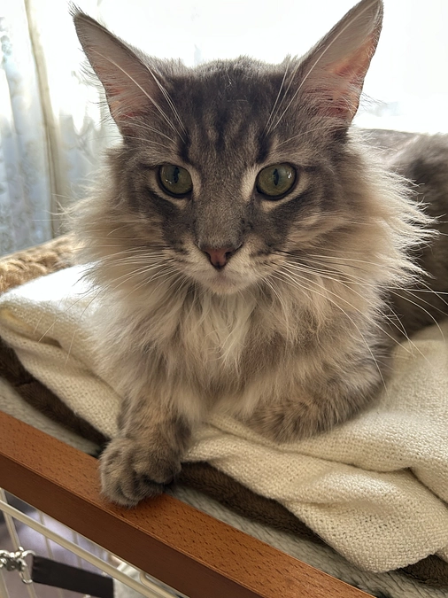 治療開始から現在までのご報告