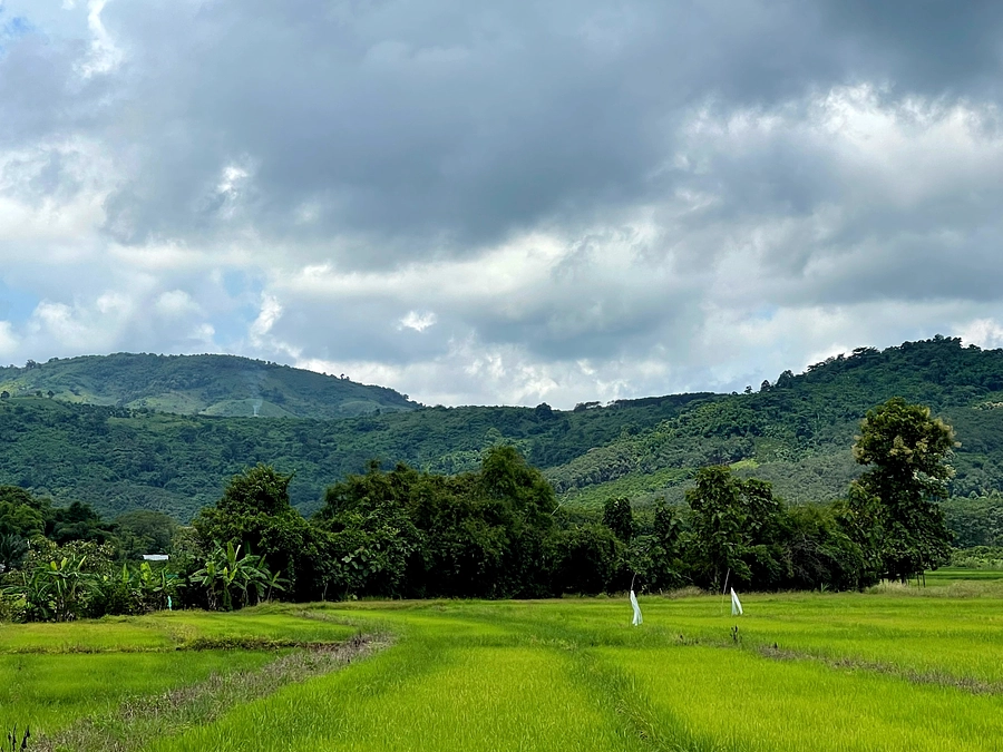 【駐在員ブログ②】メコン川から水を持ってくる！？