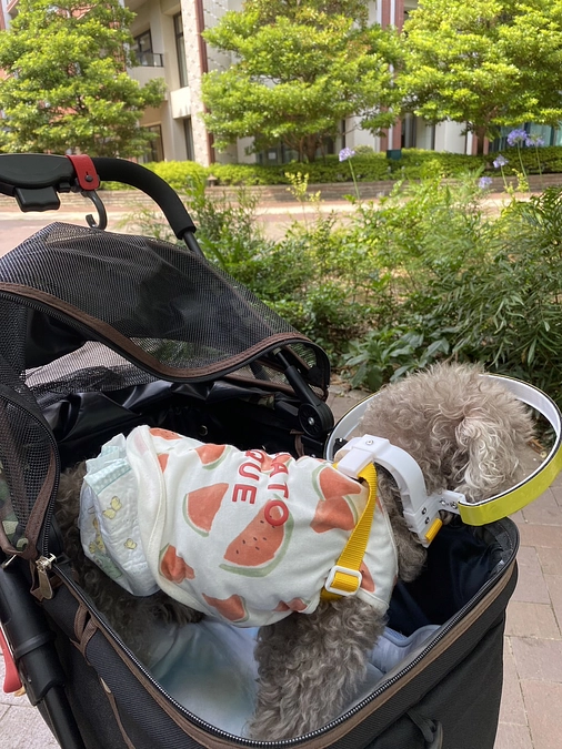 お名前を頂いたご支援者樣をサイトに記載