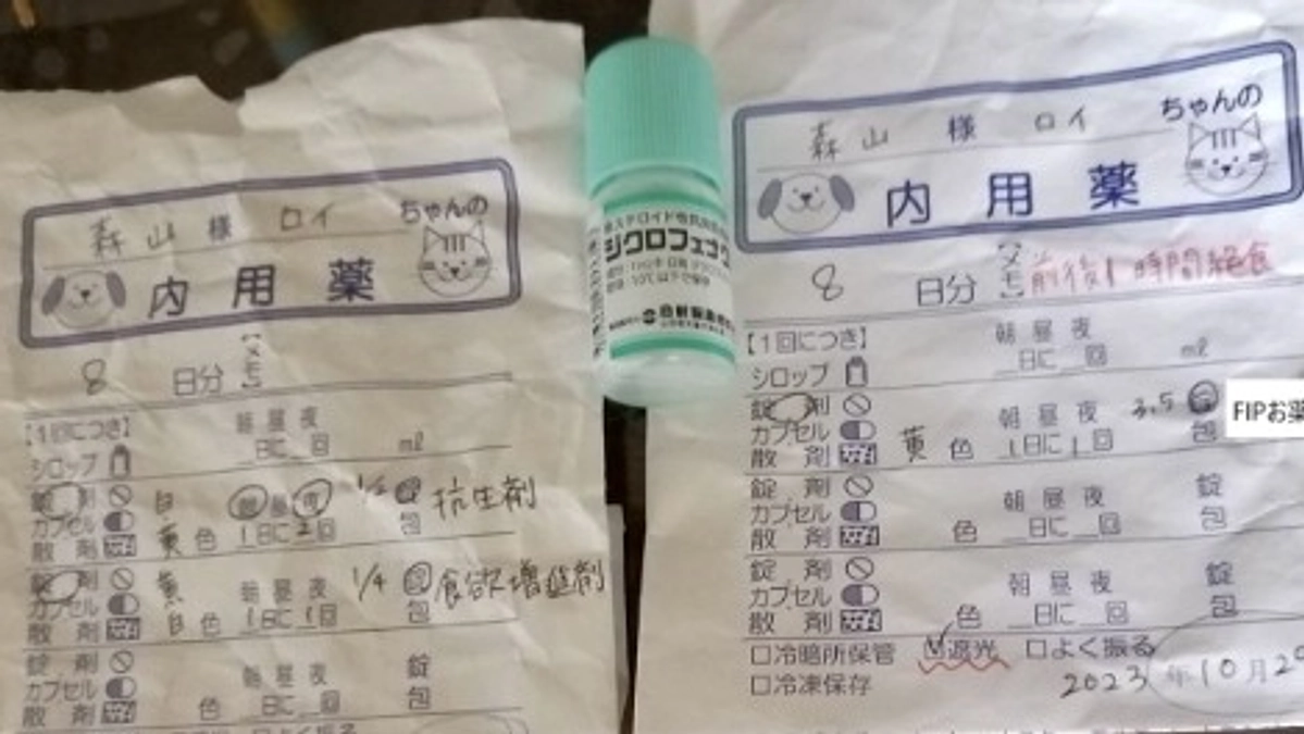 ロイのFIPの症状について