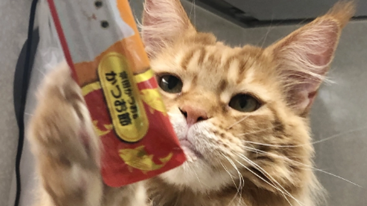 残り5時間となりました