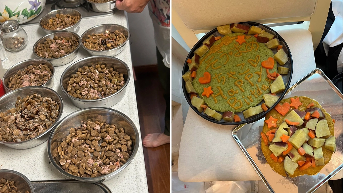 【食事のポイントと落とし穴】良質なフードをバランスよく食べさせて、健康的に長生きしてもらおう！