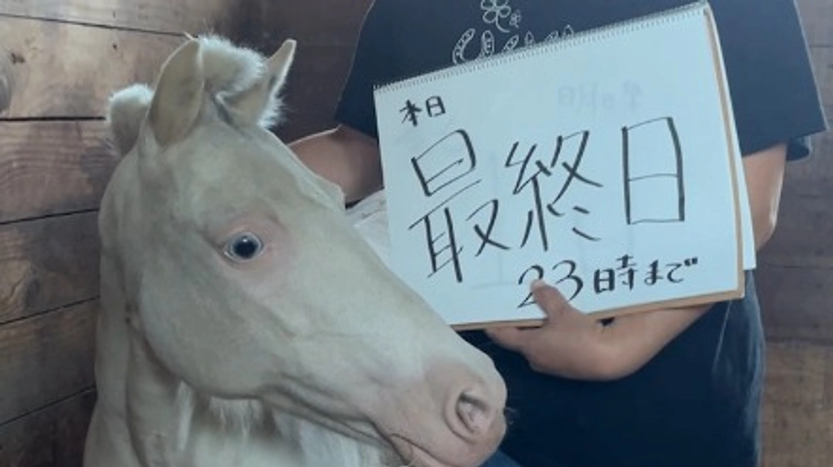 本日最終日！心からのお礼。