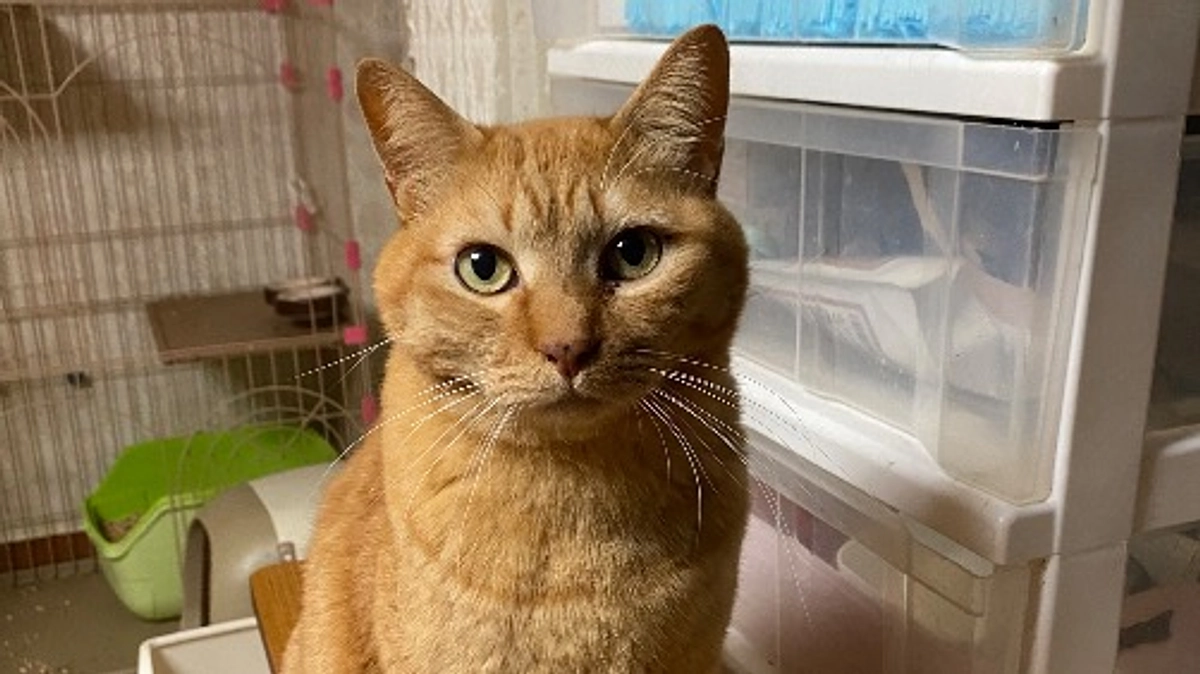 一難さってまた一難。