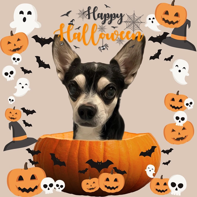 一足先にハロウィン仕様🎃👻🍭