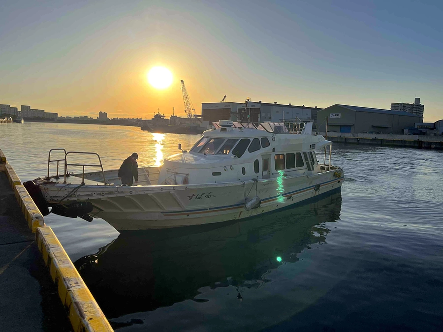 冬の目視調査に行ってきました。