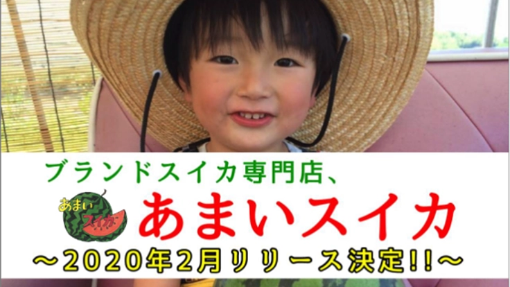 【食べたら感動！】ブランドスイカの専門店をオープンしたい！