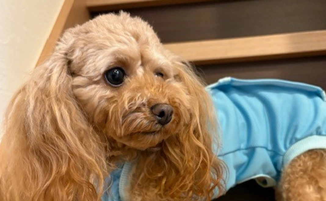 ゆむのサポーターになってください！No.７