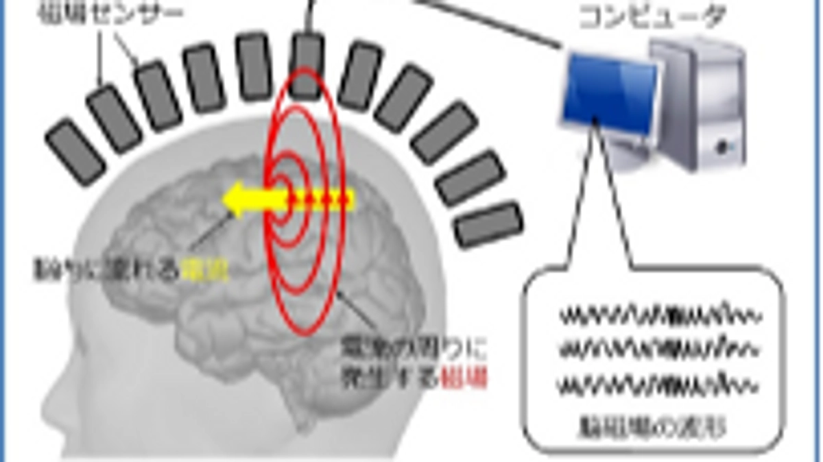 【研究成果】脳の働きは遺伝するの？