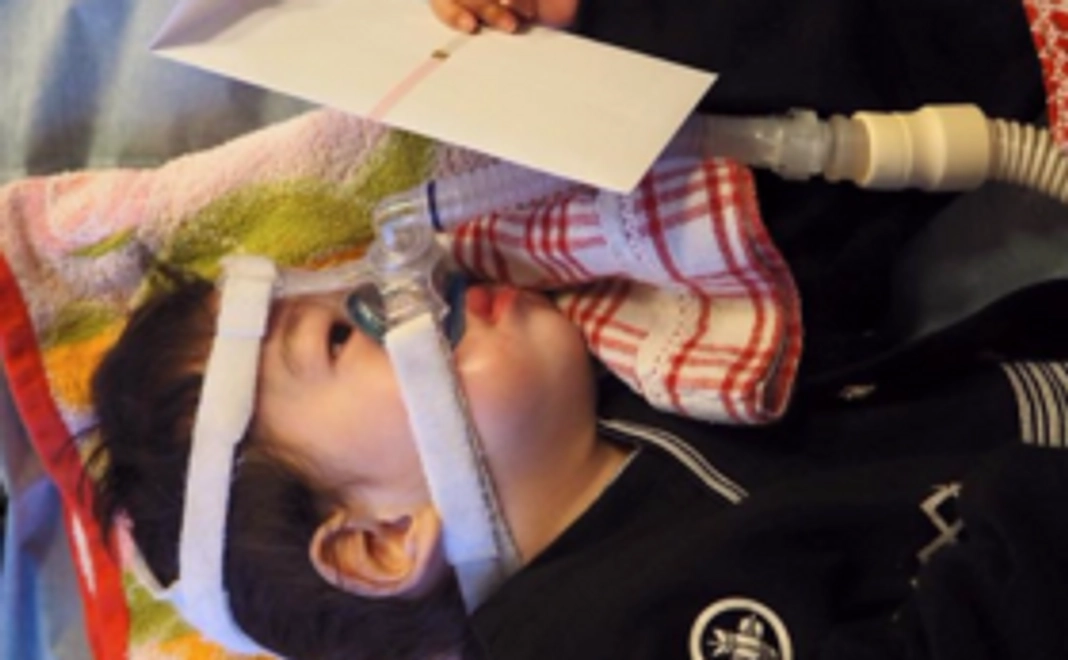 応援コメントを家族にお届けします！