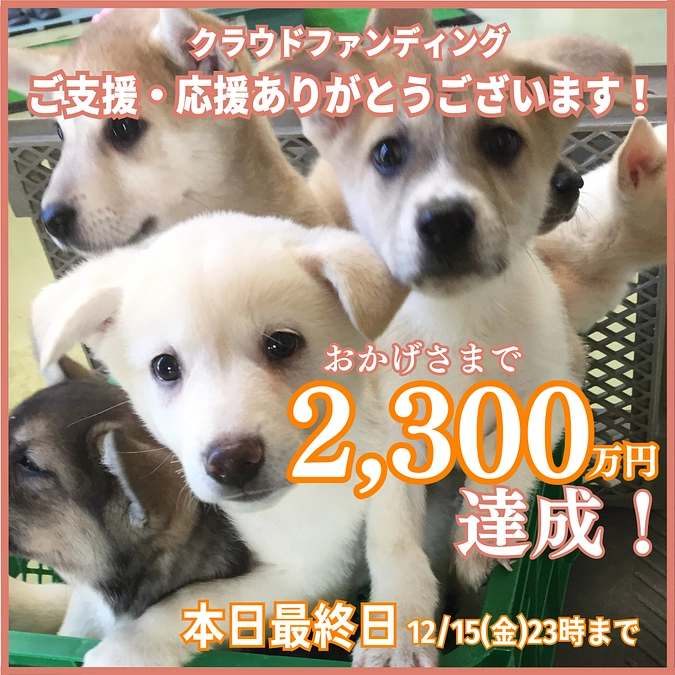 最終目標達成しました！応援して下さる全ての皆さまに心から感謝！